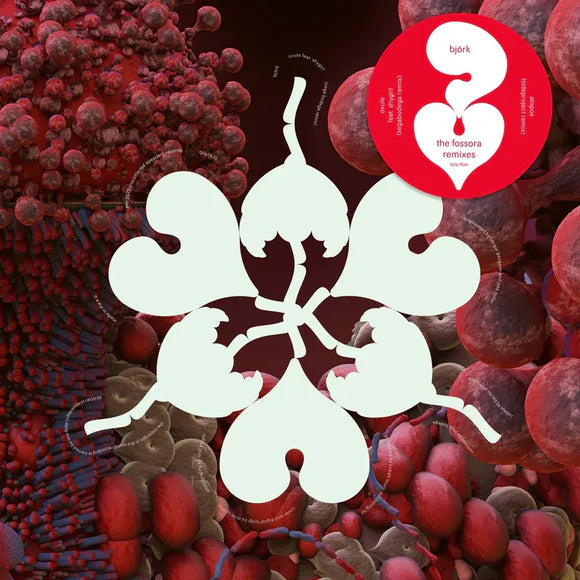 Björk - The fossora remixes