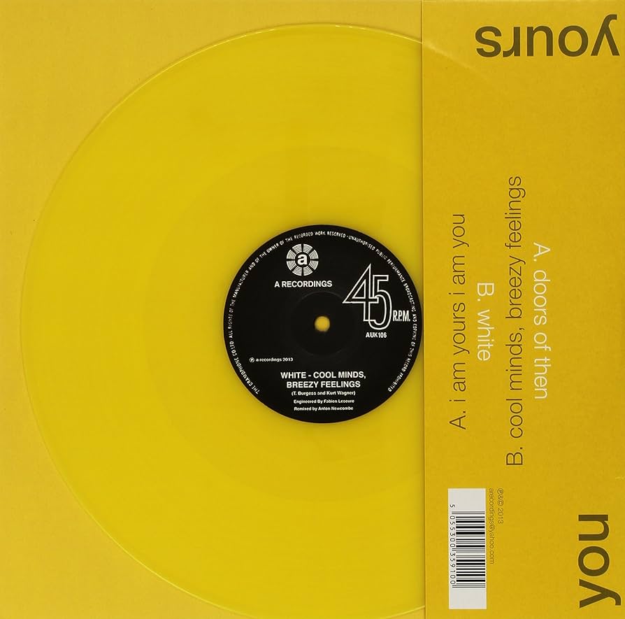 Tim Burgess - The Doors of Then/I am Yours I am You