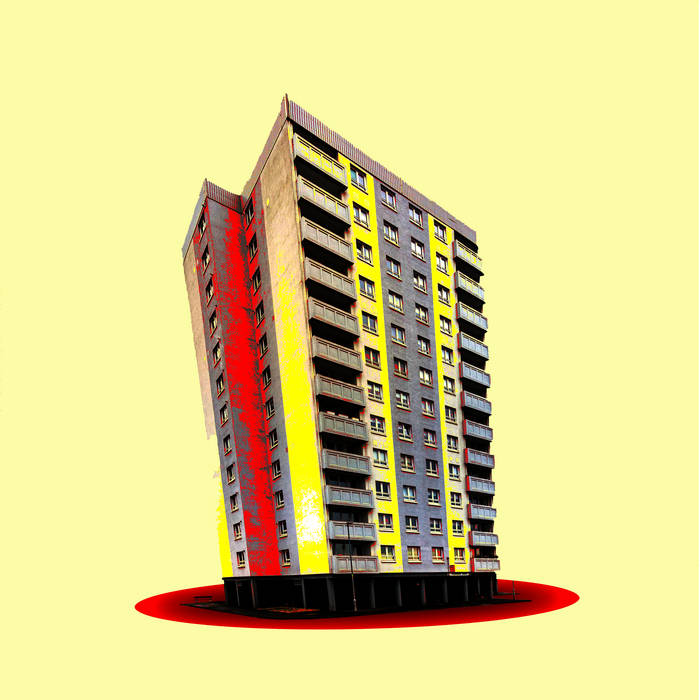 The Kidney Flowers - Burn Your Furniture