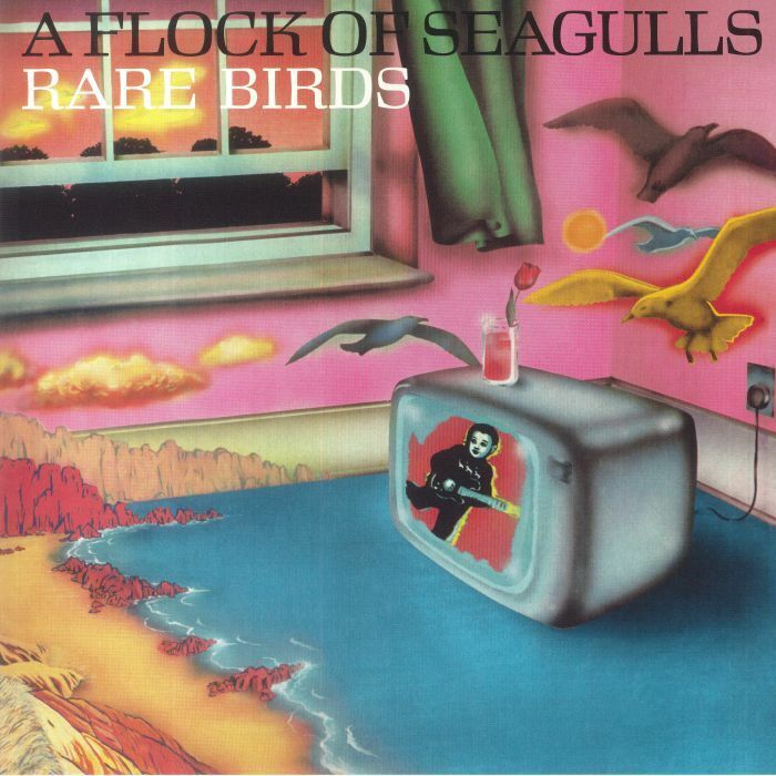 A Flock of Seagulls - Rare Birds
