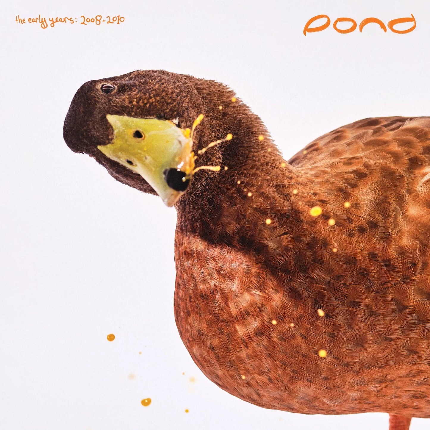 The Early Years: 2008 - 2010 - POND