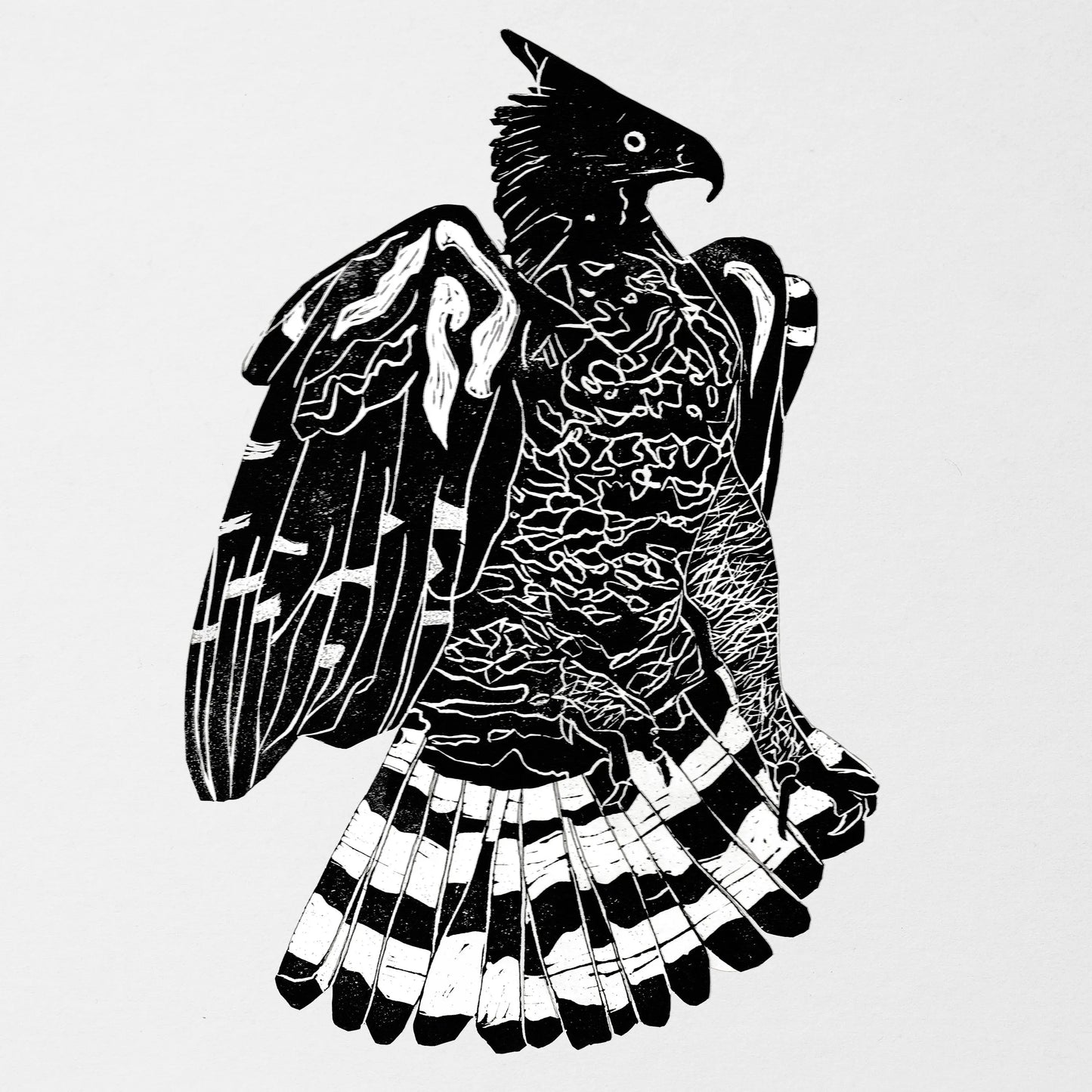 Alpha Steppa x Nai-Jah - Crowned Eagle