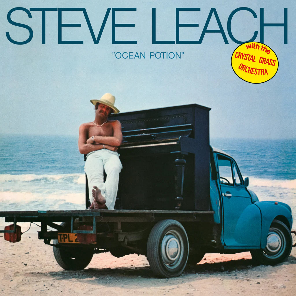 Steve Leach with the Crystal Grass Orchestra - Ocean Potion