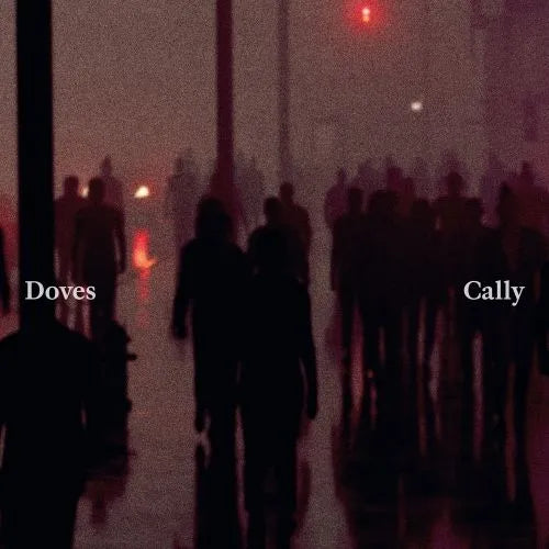 Cally/Lean Into The Wind - Doves