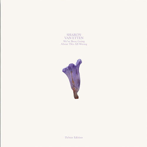 Sharon Van Etten - We've Been Going About This All Wrong (Deluxe 2LP Custard Vinyl + Poster set)