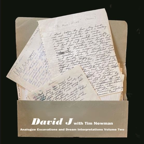David J with Tim Newman - Analogue Excavations And Dream Interpretations Volume 2 (Milky Clear Vinyl)