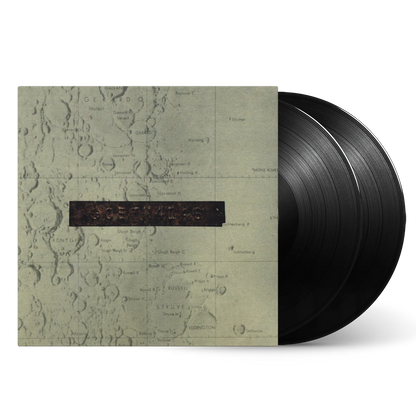 Low - Things we Lost in the Fire (2LP)