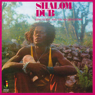 King Tubby and The Aggrovators - Shalom Dub